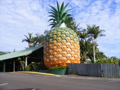 Big Pineapple