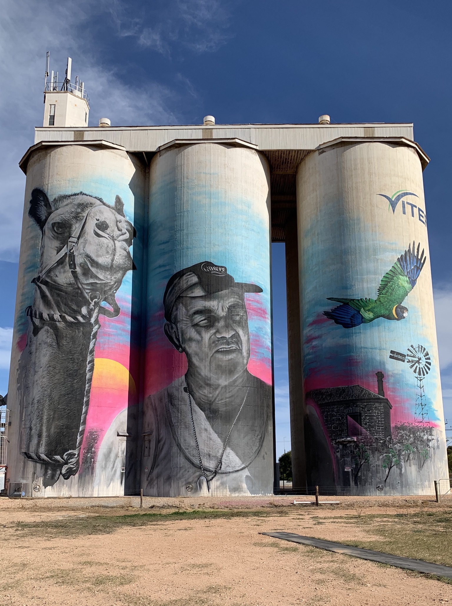 Silo Art Cowell